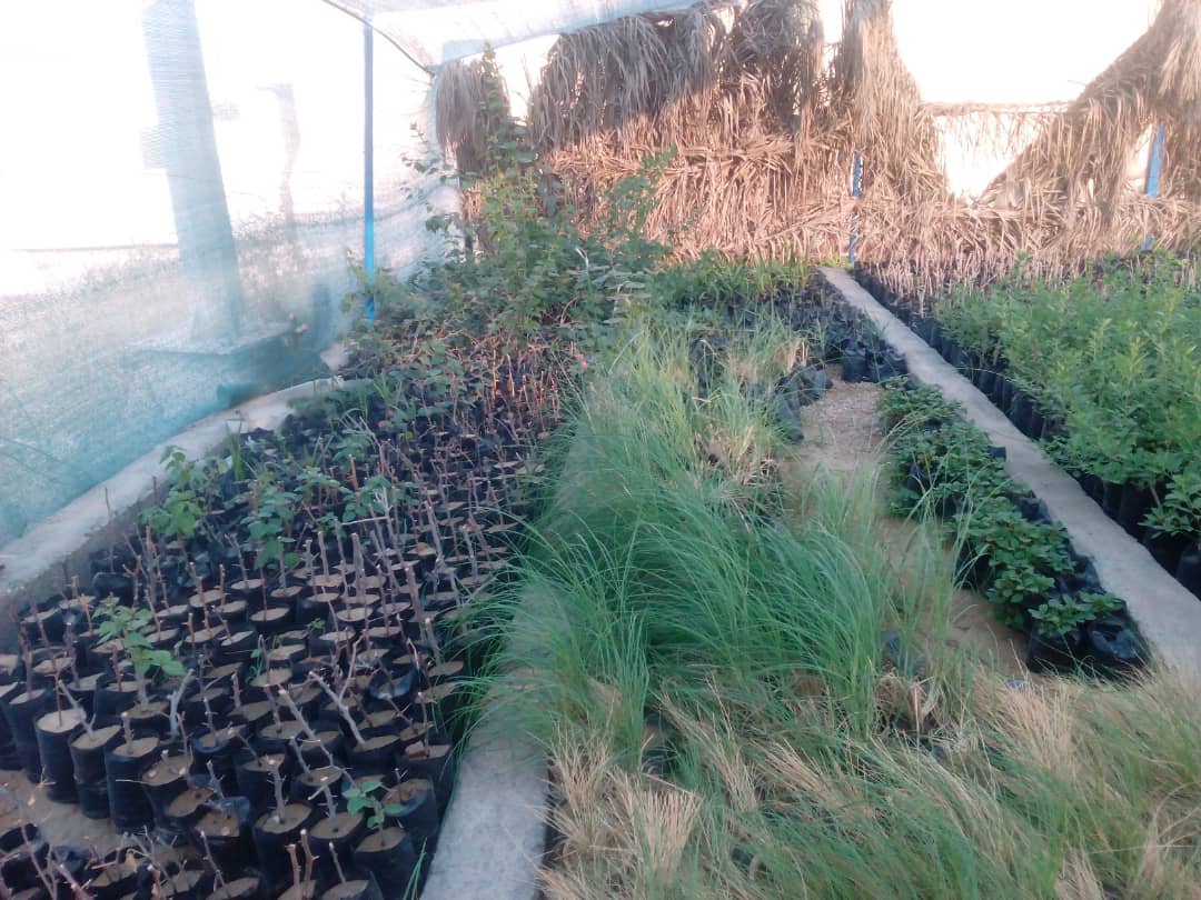 آبشار طوف خیمه سوق